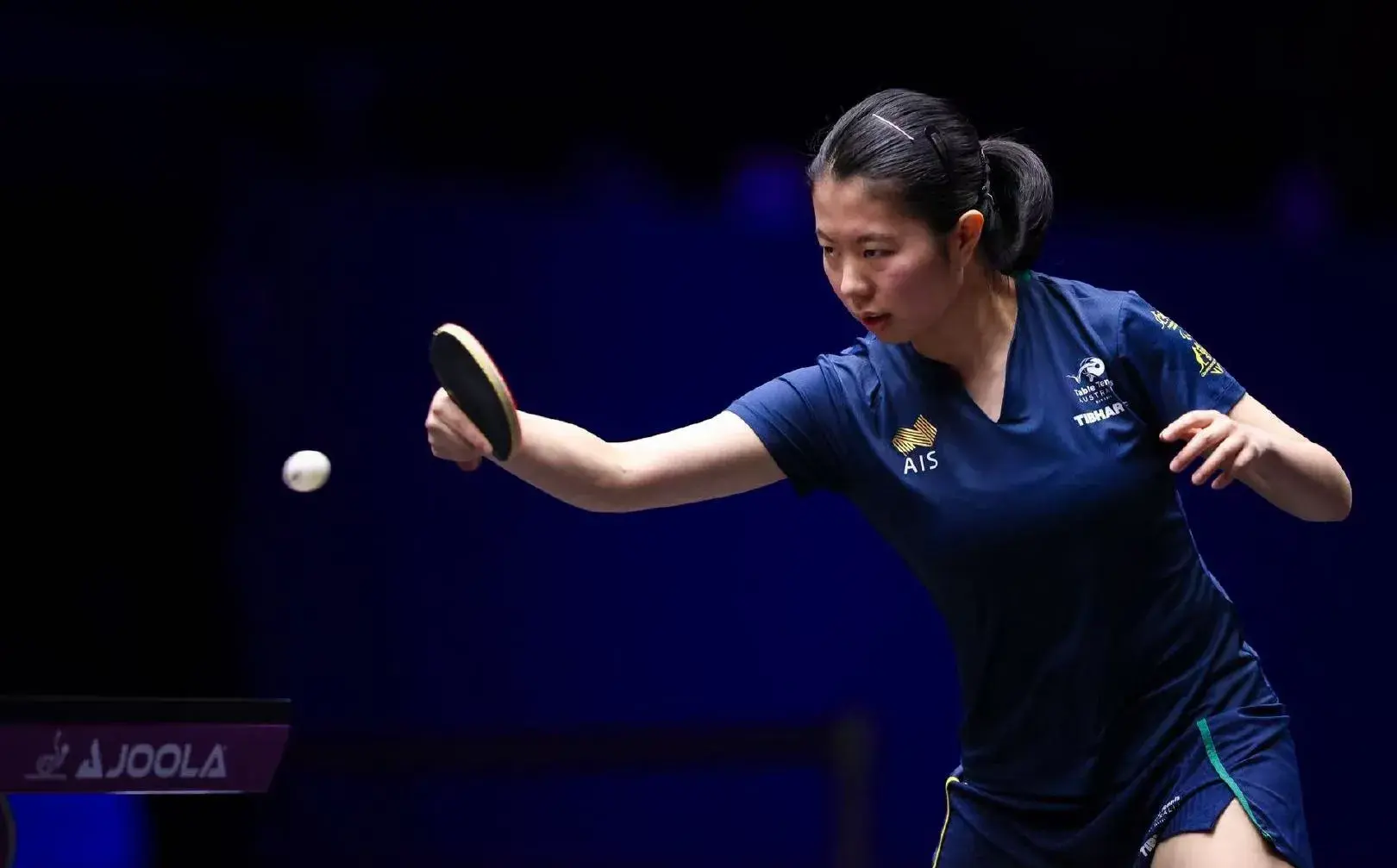 王艺迪在反, 方面还是需, KbDGR