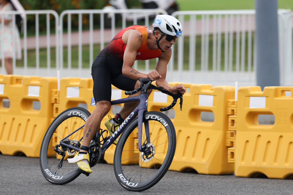 王翔, 中国一队组 王翔, 中国一队组