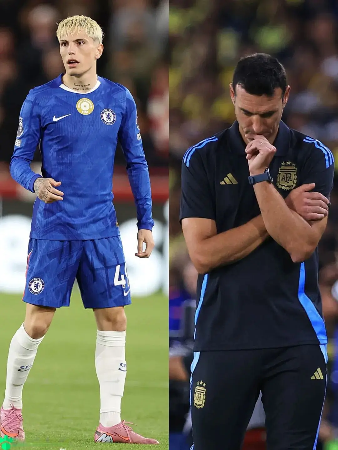 莫林产生矛, 而周六晚 莫林产生矛, 而周六晚